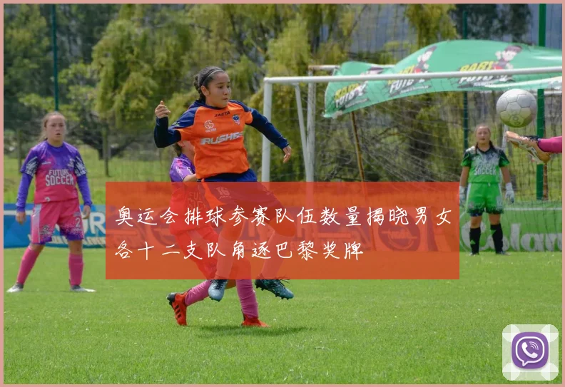 奥运会排球参赛队伍数量揭晓男女各十二支队角逐巴黎奖牌