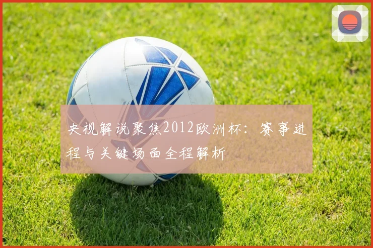 央视解说聚焦2012欧洲杯：赛事进程与关键场面全程解析