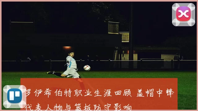 罗伊希伯特职业生涯回顾 盖帽中锋代表人物与篮板防守影响