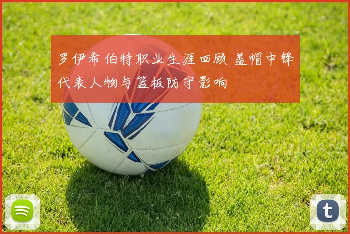 罗伊希伯特职业生涯回顾 盖帽中锋代表人物与篮板防守影响