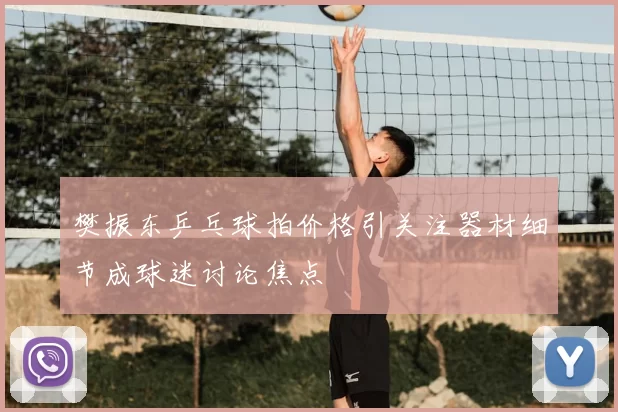 樊振东乒乓球拍价格引关注器材细节成球迷讨论焦点